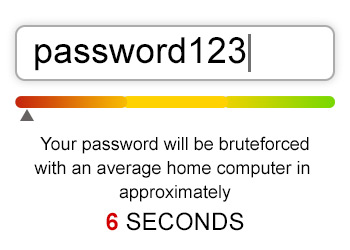 Password Strength Check