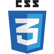 css 3 Logo